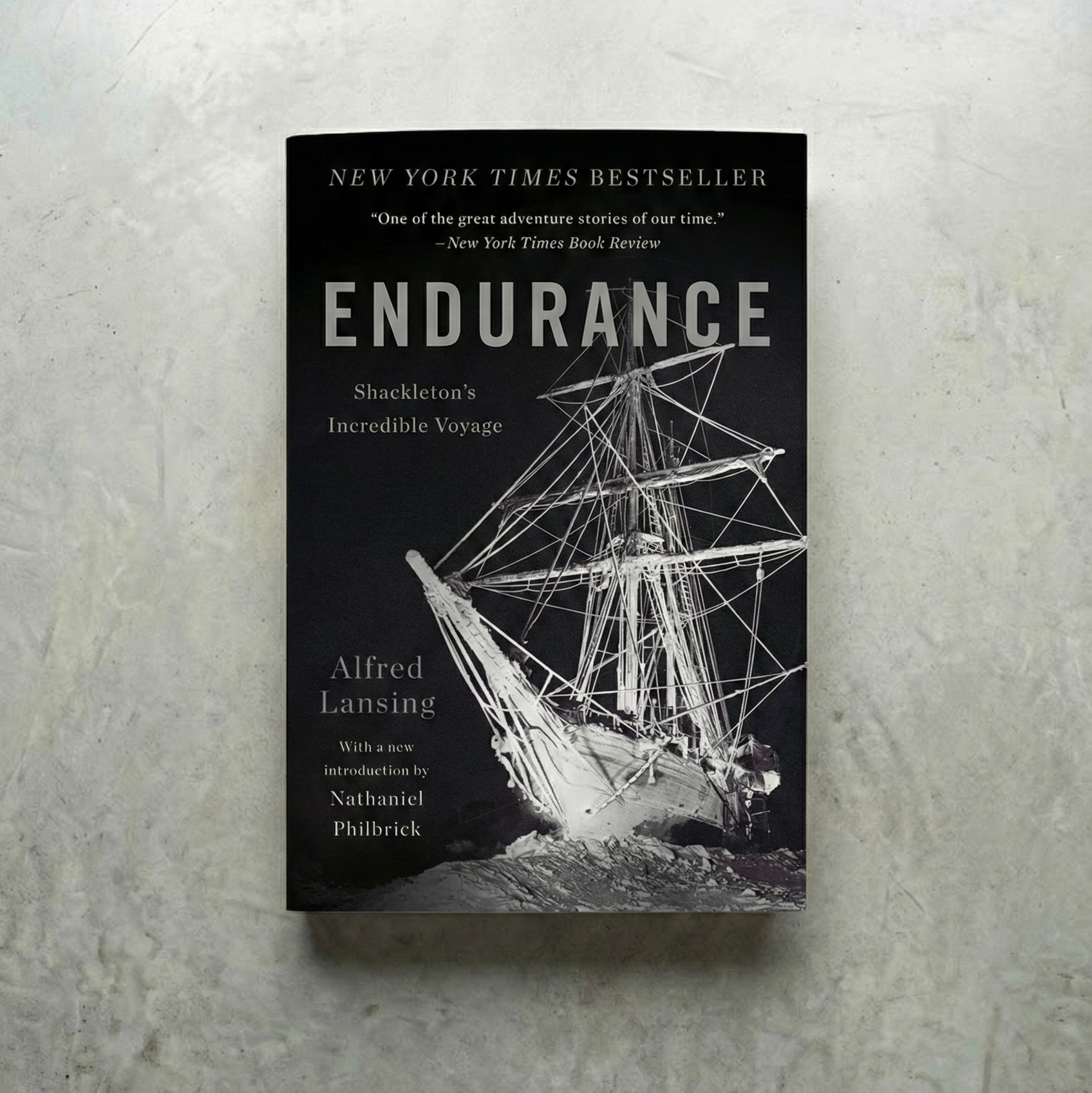 Endurance: Shackleton's Incredible Voyage